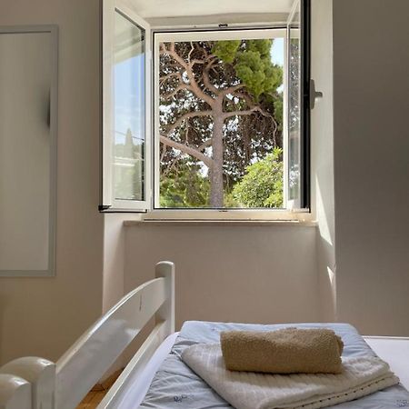 Tree Apartment ดูบรอฟนิก ภายนอก รูปภาพ