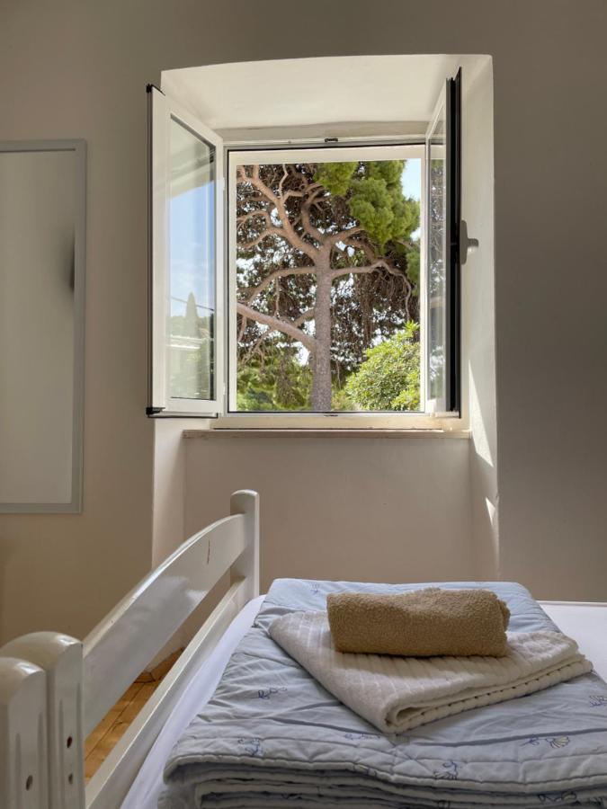 Tree Apartment ดูบรอฟนิก ภายนอก รูปภาพ